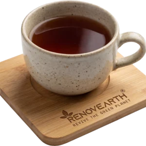Bamboo Coaster Model 1