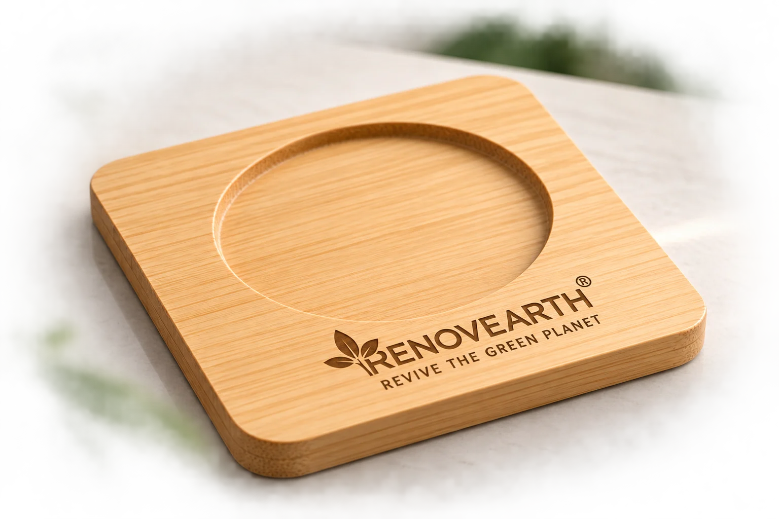 Bamboo Coaster Model 1